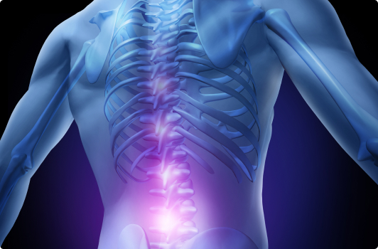 Minimal Access Lumbar Spinal Fusion